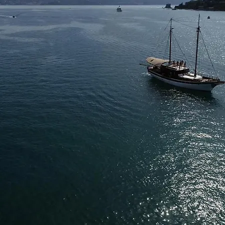 Sailing 5 Terre *